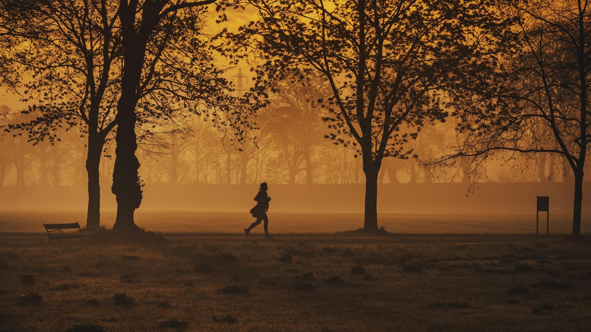 Active person jogging in a quiet city park at dawn
